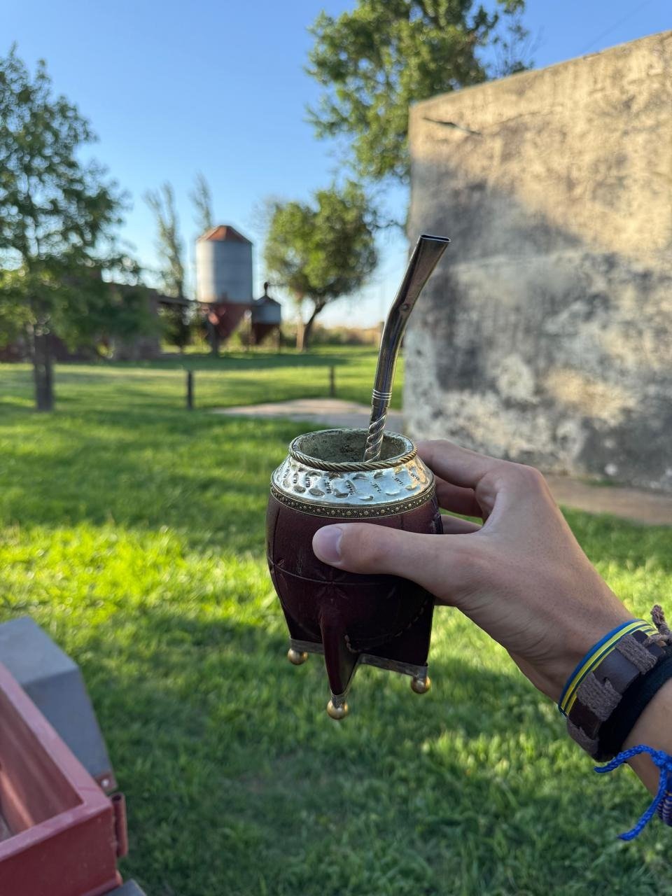 Mate La Matilde en el campo