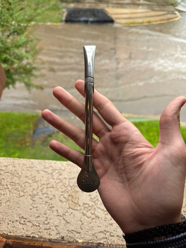 Bombillón Pico Rey de Alpaca