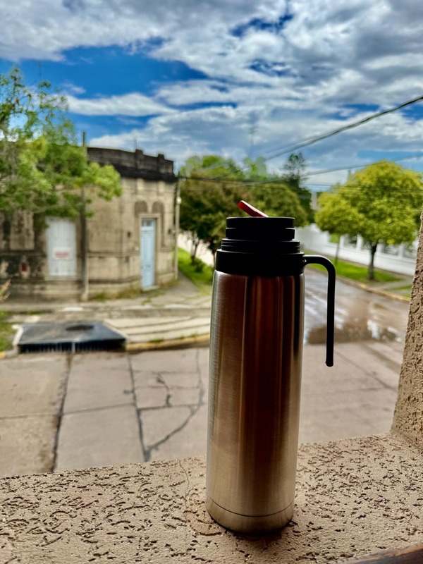 Termo Media Manija Plateado